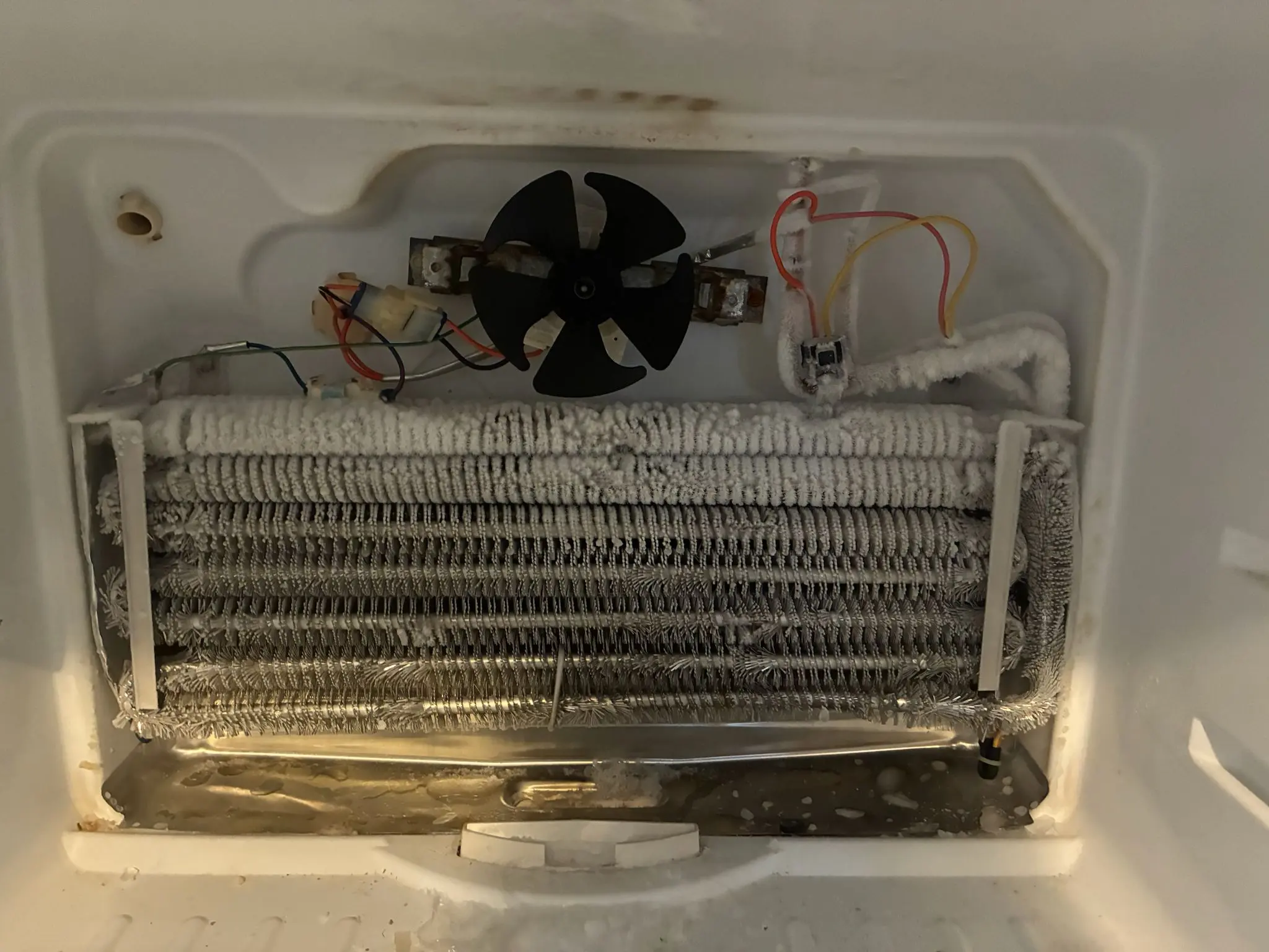 Frigidaire fridge not cooling diagnosis in Dartmouth
