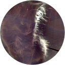 Jenna profile picture